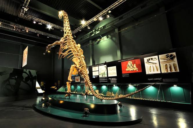 Museos