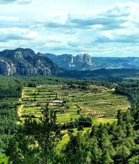 Reserva con nosotros